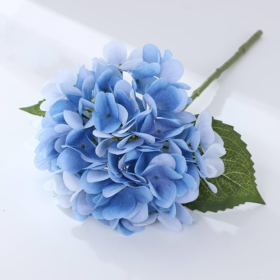 紫陽花　美品 生花】輸入アジサイ アンティークパープル〜ブルー系 タミーズ